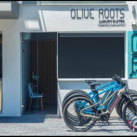 Olive Roots Hotel Skala Rachoni  Bagian luar foto