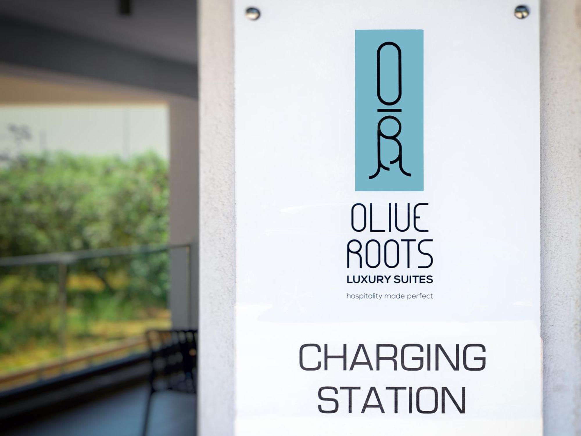 Olive Roots Hotel Skala Rachoni  Bagian luar foto